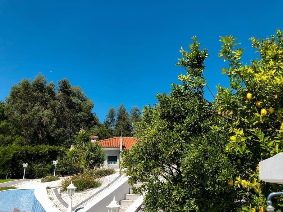 Maison Familiale De Caractere Avec Piscine Padronelo Εξωτερικό φωτογραφία